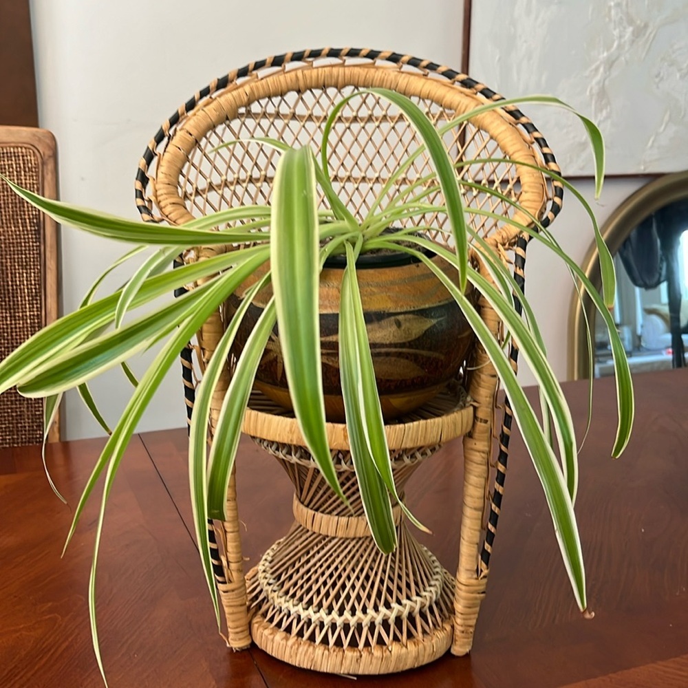 Vintage Peacock Chair Wicker Rattan Plant Doll